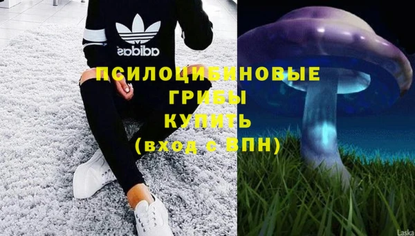 ALPHA-PVP Алексин