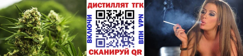МЕГА как войти  Алзамай  Дистиллят ТГК гашишное масло  цена  