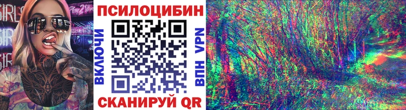 купить наркоту  Алзамай  Галлюциногенные грибы Psilocybe 